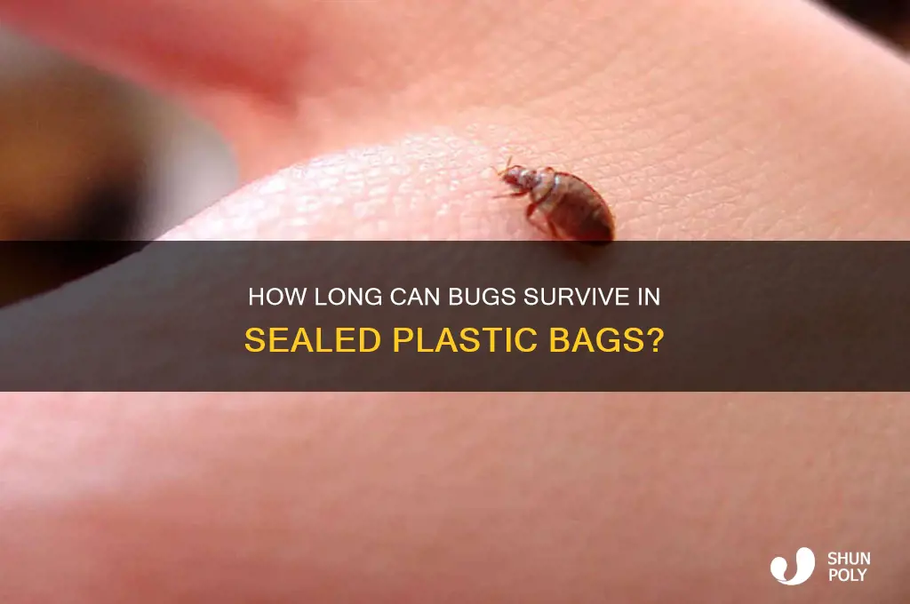 can a bug live in a plastic bag tied up