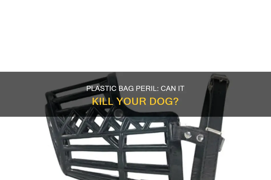 can a dog die from eating a plastic bag