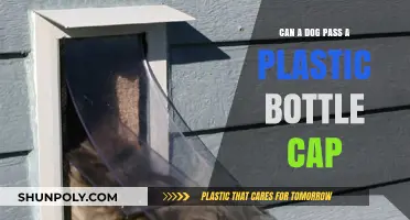 Can Dogs Safely Pass Plastic Bottle Caps? Risks and Advice