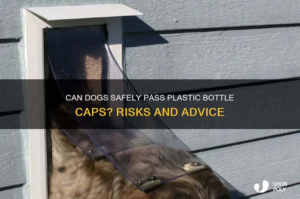 can a dog pass a plastic bottle cap