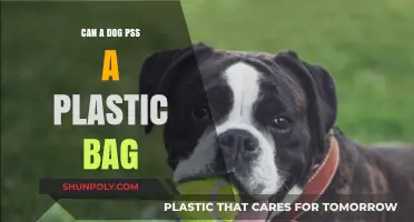 How Dogs Pass Plastic: A Vet's View