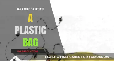 Fruit Flies: How Do They Invade Sealed Plastic Bags?