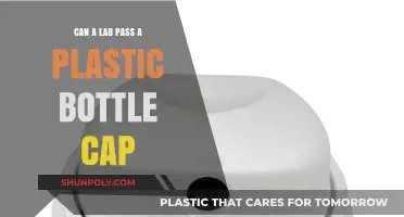 Can Labradors Safely Pass Plastic Bottle Caps? Expert Insights