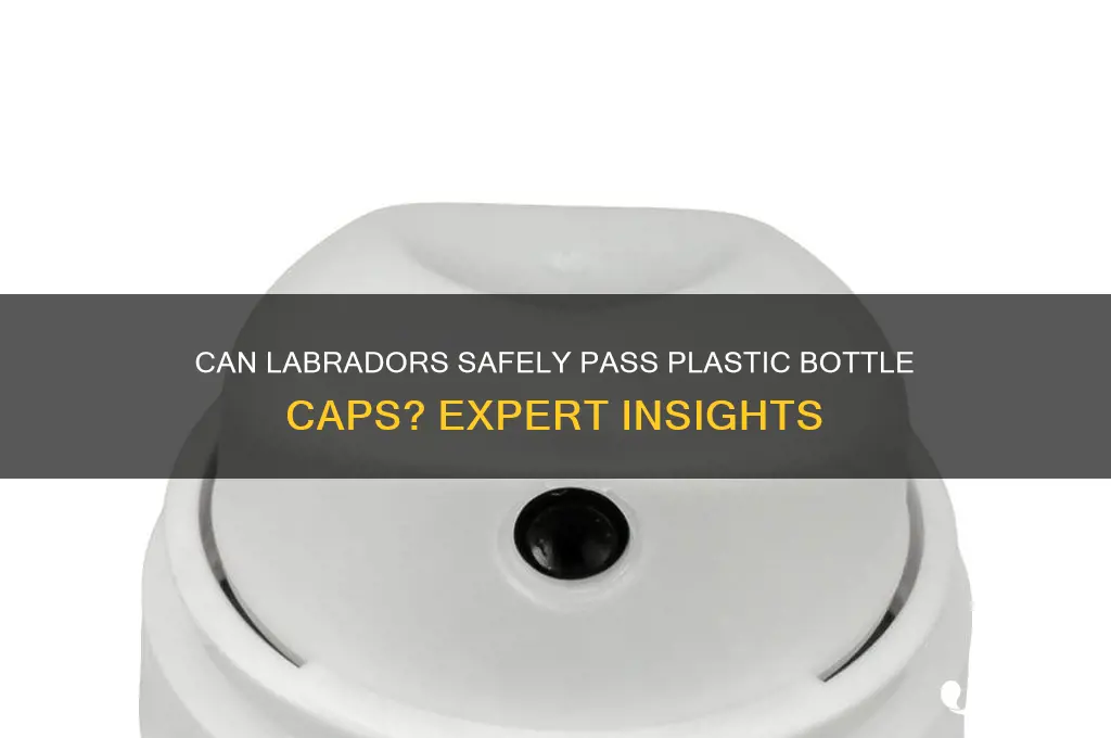 can a lab pass a plastic bottle cap
