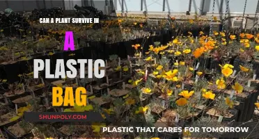 How Long Can Plants Breathe in Plastic Bags?