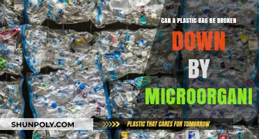 Microorganisms: Plastic Bag Breakdown?