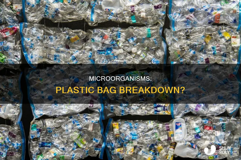 can a plastic bag be broken down by microorganisms