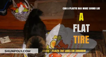 Plastic Bags: A Flat Tire Sound-alike?
