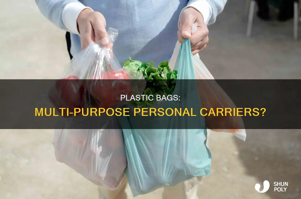 can a plastic bag serve as a personal bag