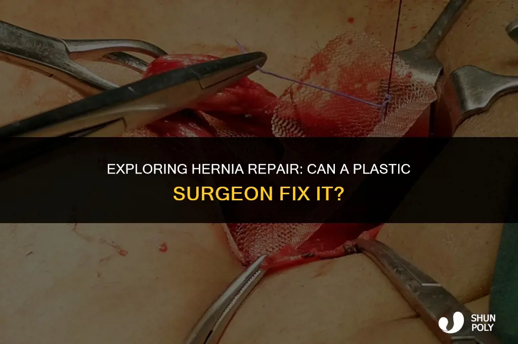 can a plastic surgeon fix a hernia
