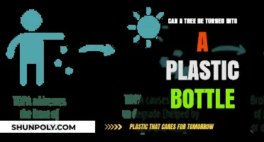 Transforming Trees into Plastic Bottles: Exploring the Science and Sustainability