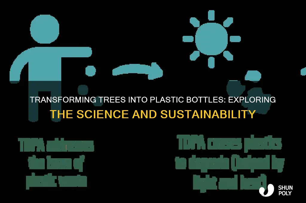 can a tree be turned into a plastic bottle