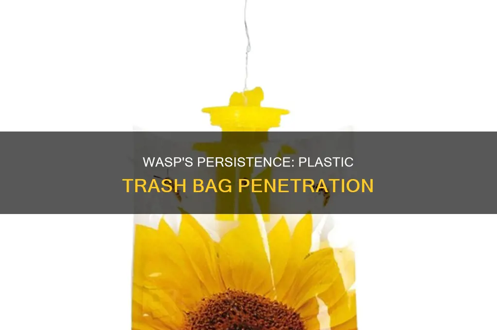 can a wasp dig through a plastic trash bag