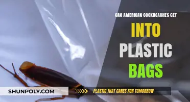 Cockroaches: Plastic Bags Aren't Safe!
