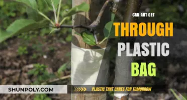 Ants and Plastic Bags: The Ultimate Barrier?