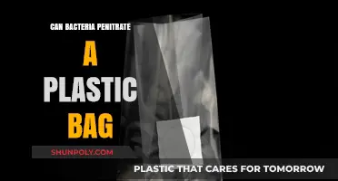 Plastic Bags: Bacteria-Proof or Not?