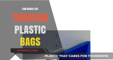 Bases: Plastic Bags' Worst Enemy?