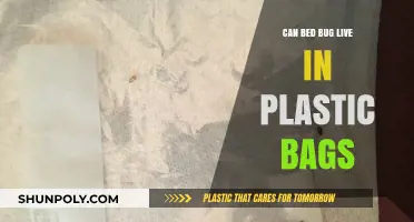 Bed Bugs and Plastic Bags: A Safe Haven?