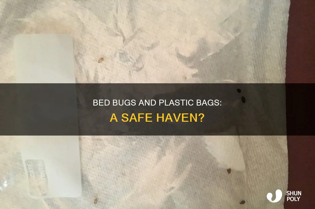 can bed bug live in plastic bags