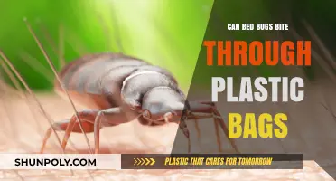 Bed Bugs and Plastic Bags: Are They Safe?