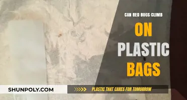 Bed Bugs and Plastic Bags: Can They Climb?