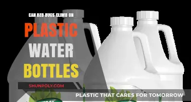 Can Bed Bugs Climb Plastic Water Bottles? Facts Revealed