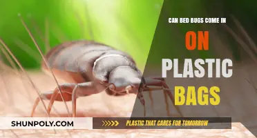 Bed Bugs: Plastic Bags Safe?