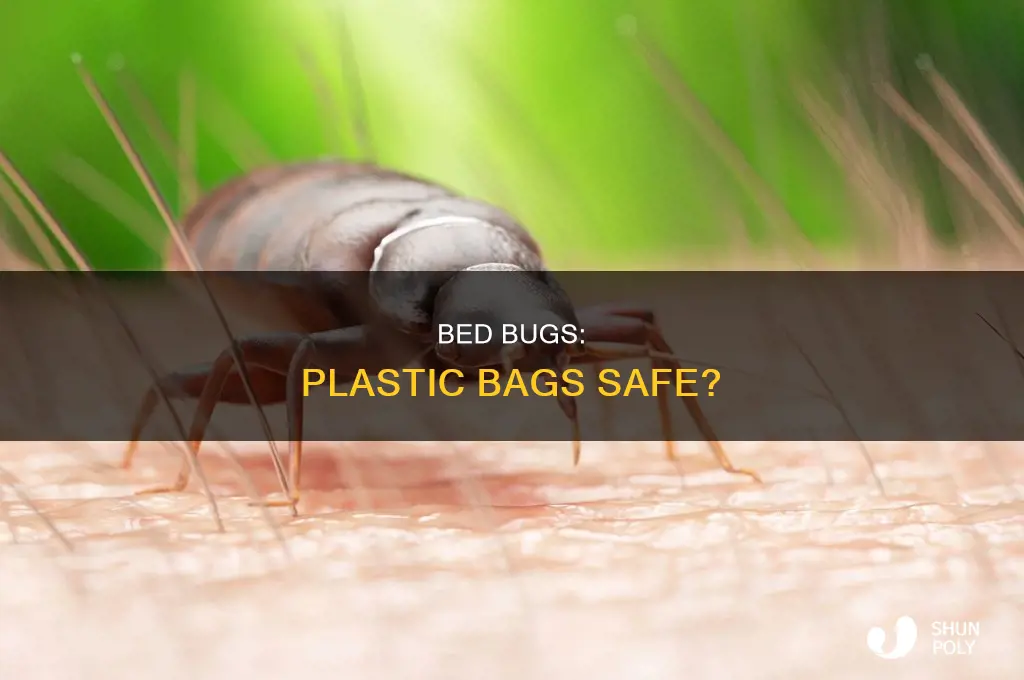 can bed bugs come in on plastic bags