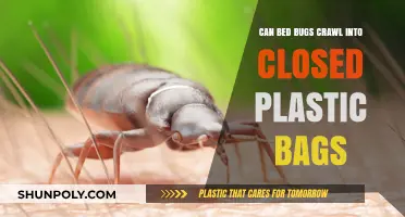 Bed Bugs: Can They Invade Sealed Plastic Bags?