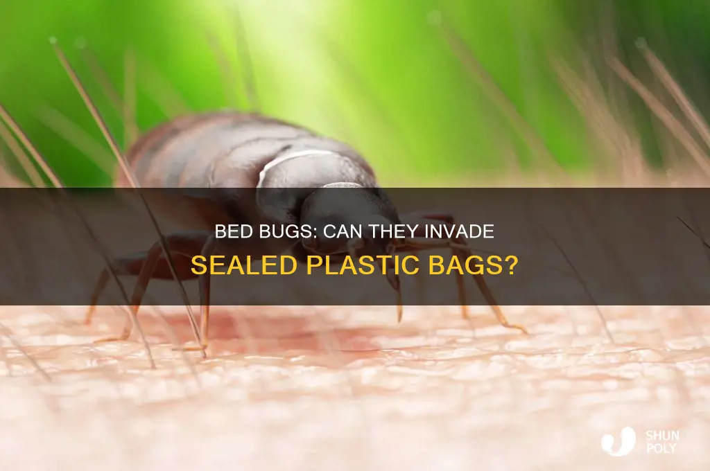 can bed bugs crawl into closed plastic bags