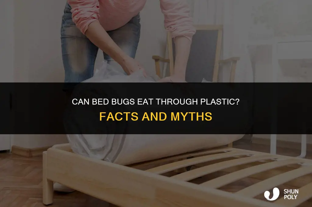 can bed bugs eat through plastic