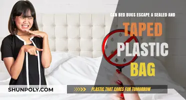 Bed Bugs: Can They Escape Sealed Plastic Bags?