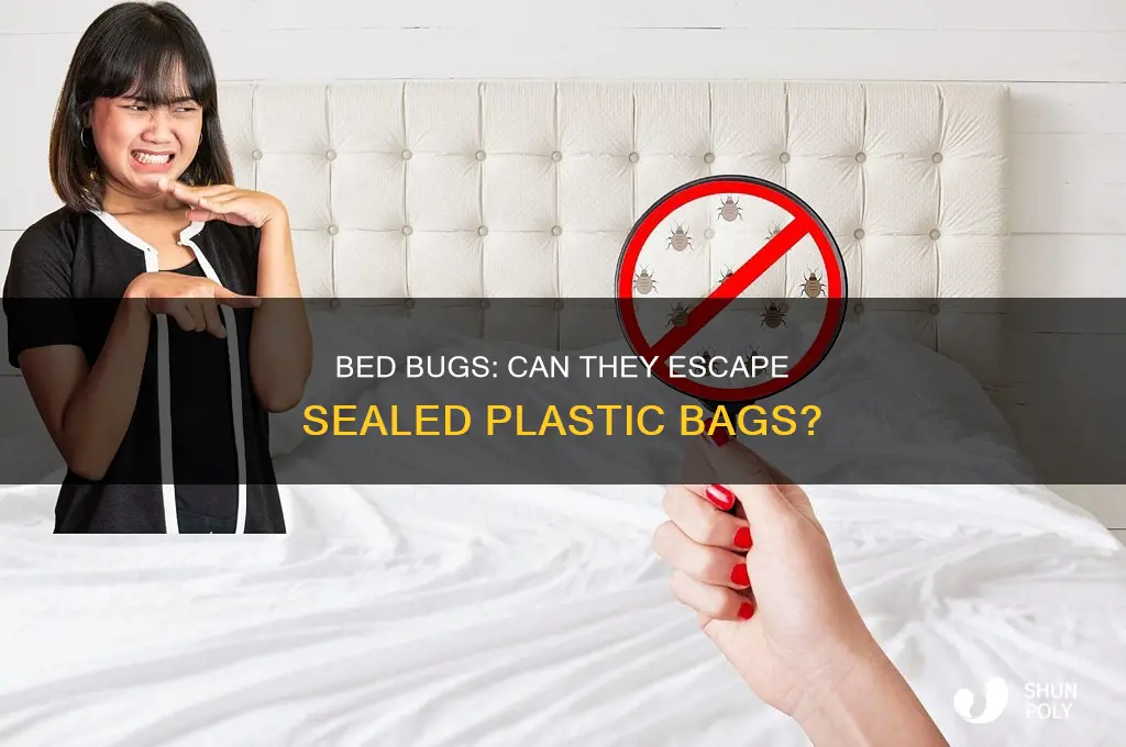 can bed bugs escape a sealed and taped plastic bag