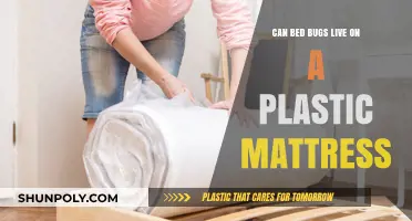 Can Bed Bugs Infest Plastic Mattresses? Facts and Prevention Tips