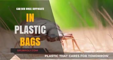 Bed Bugs: Can Plastic Bags Suffocate Them?