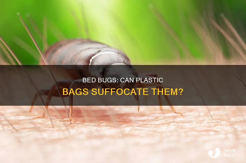 can bed bugs suffocate in plastic bags