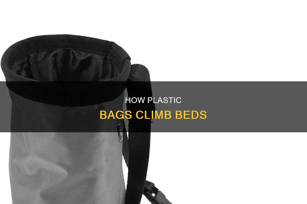 can bed climb plastic bags
