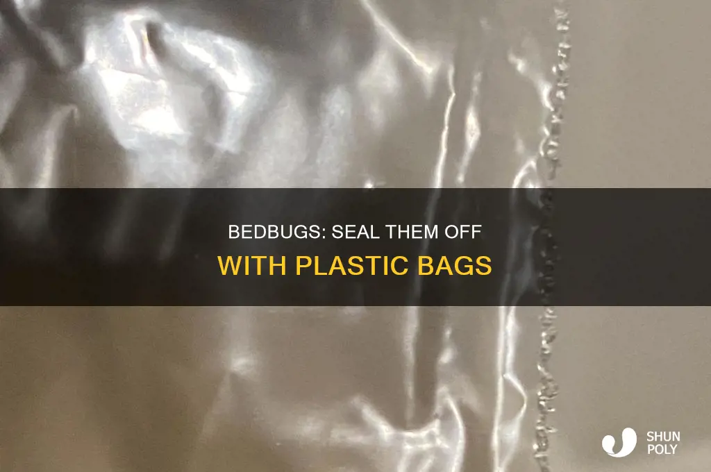 can bedbugs get into a sealed plastic bag