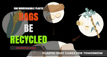 Biodegradable Plastic Bags: Recycle or Not?