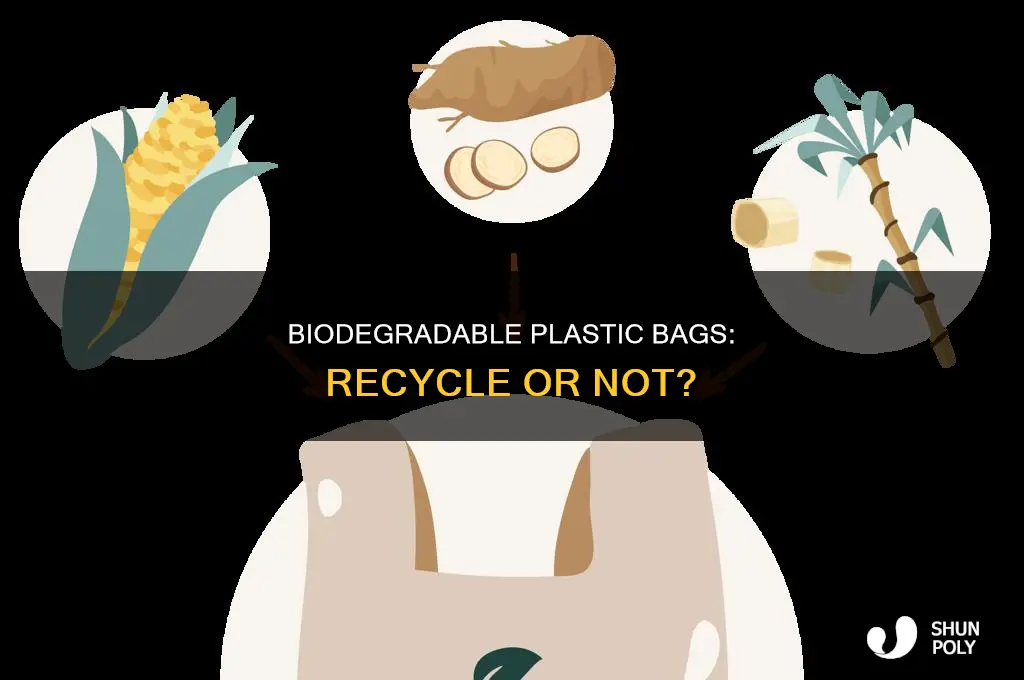 can biodegradable plastic bags be recycled