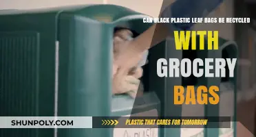 Black Plastic Leaf Bags: Recycle with Grocery Bags?