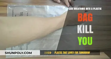 Suffocation Risk: Plastic Bags and Hypercapnia