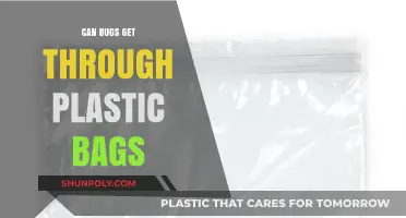 Plastic Bags: Bug-Proof or Not?