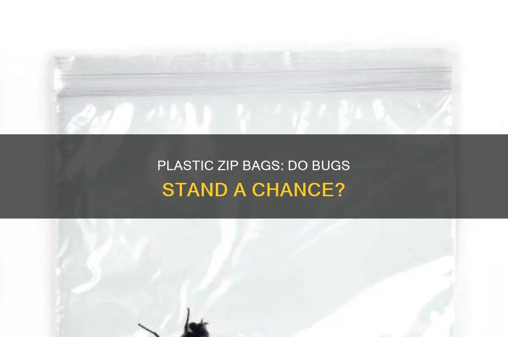 can bugs get throuh plastic zip bags