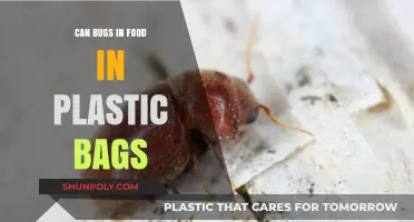 Bugs in Sealed Bags: How is it Possible?