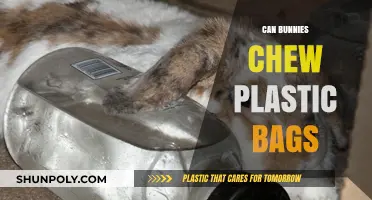 Bunnies and Plastic Bags: A Dangerous Chew
