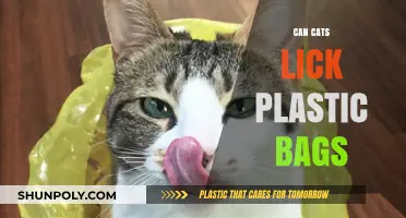 Why Cats Lick Plastic Bags