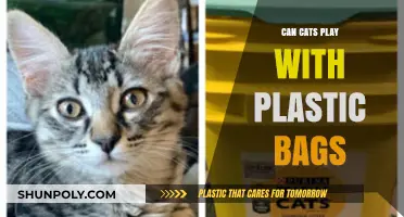 Plastic Bags: Fun or Foe for Cats?