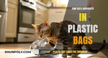Plastic Bags: A Cat Suffocation Hazard
