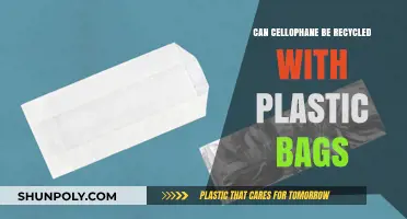 Cellophane and Plastic Bags: Can They Be Recycled Together?